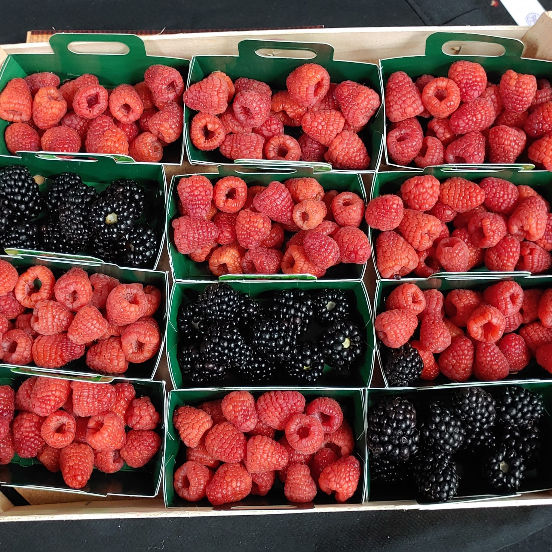 Third Morocco MENA Berry Conference, 550 delegates from 30 countries